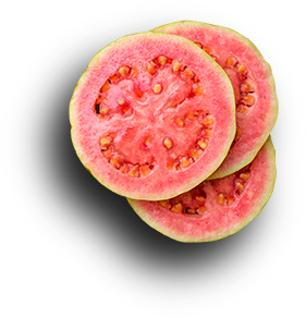 Pink Guava, we only sourcing the best quality ingredients for our ice cream and sorbet!